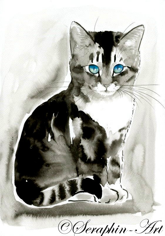 Kätzchen Aquarell Zeichnung