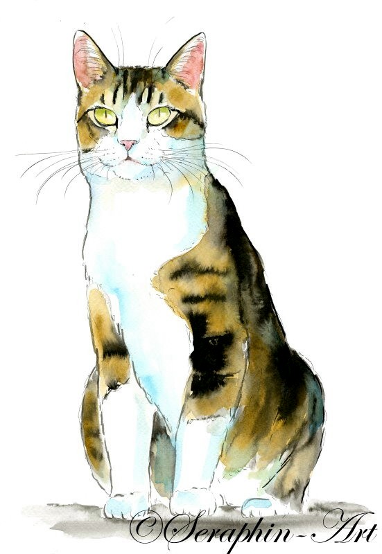 Tabby Katze Aquarell Zeichnung