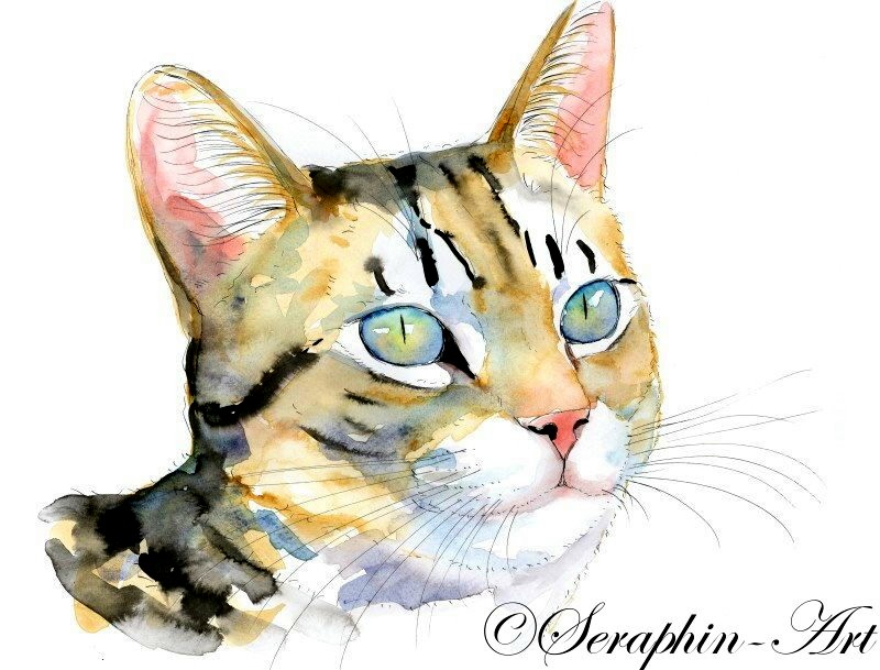 Tabby Katze Aquarell Zeichnung