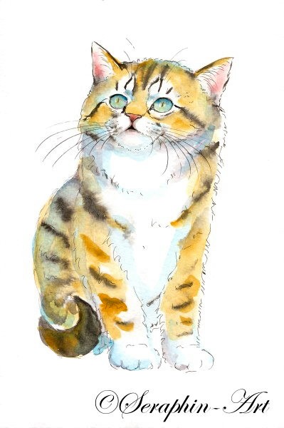 Tabby Kätzchen Aquarell Zeichnung